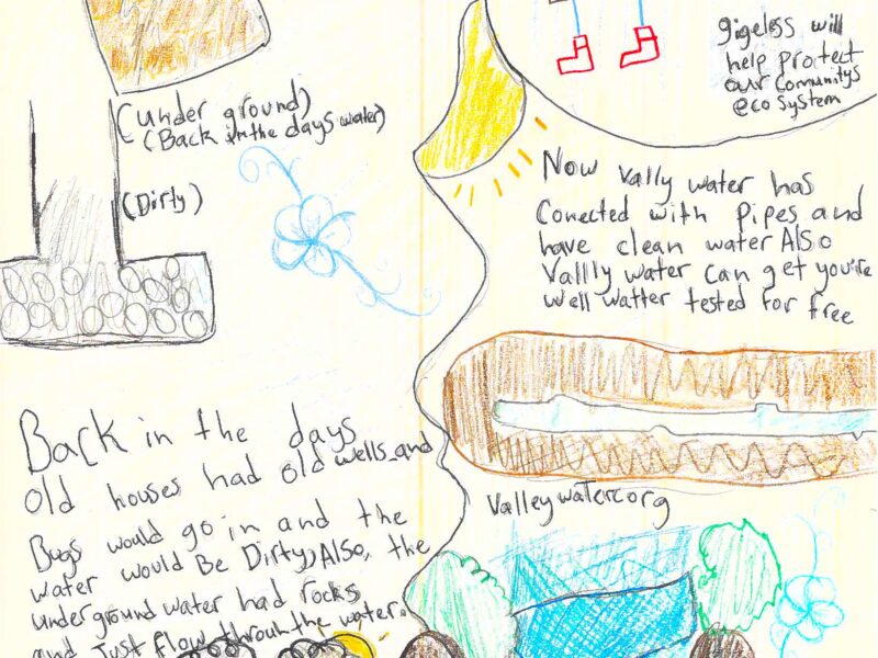 Guadalupe Ledesma Cabrera